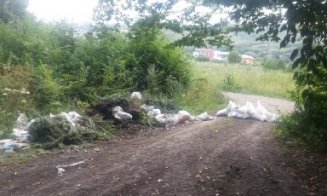 S-a mutat lângă o pădure din Cluj pentru liniște și natură, dar are parte de rampe clandestine de gunoi. E cetățean străin