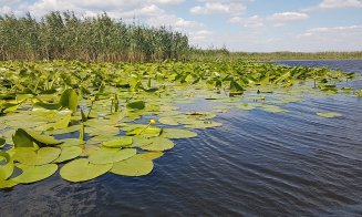 O locație din România, între cele mai frumoase obiective turistice mondiale din patrimoniul UNESCO