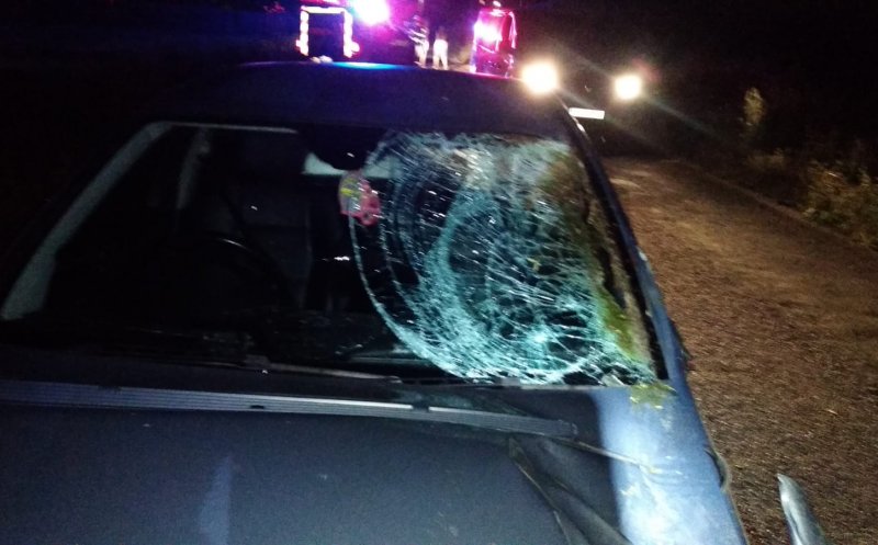 Accident cu doi răniți și un cal mort, în Luna de Jos