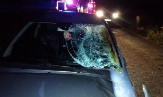 Accident cu doi răniți și un cal mort, în Luna de Jos