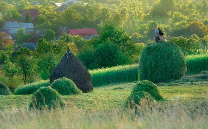 Destinație de weekend | Tărâmul de basm din „Valea castorilor”, satul care l-a cucerit și pe Prințul Charles
