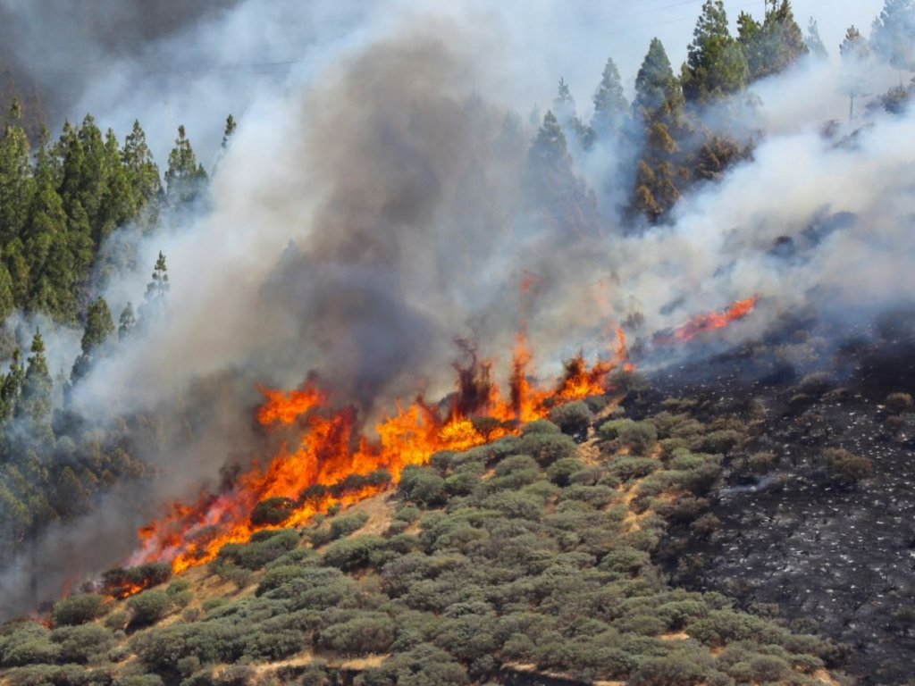 Avertisment de călătorie MAE. Incendiu în Gran Canaria