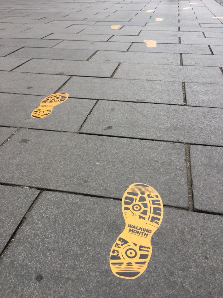 Start înscrieri la Walking Month! Se strâng bani pentru prima ambulanță socială din Transilvania