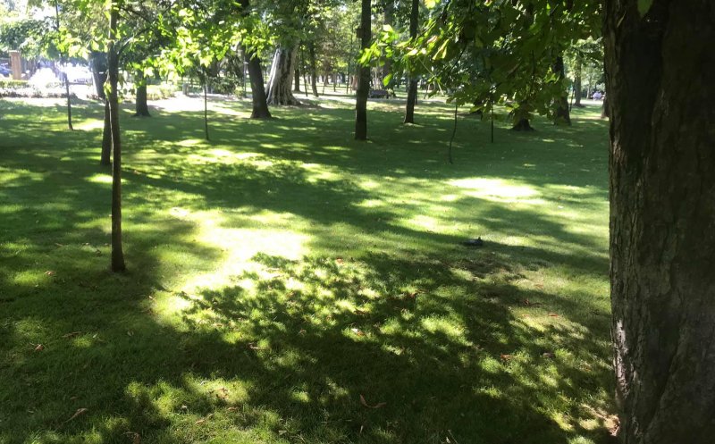 Gata cu lucrările după Untold! Parcul Central și-a reluat activitatea normală