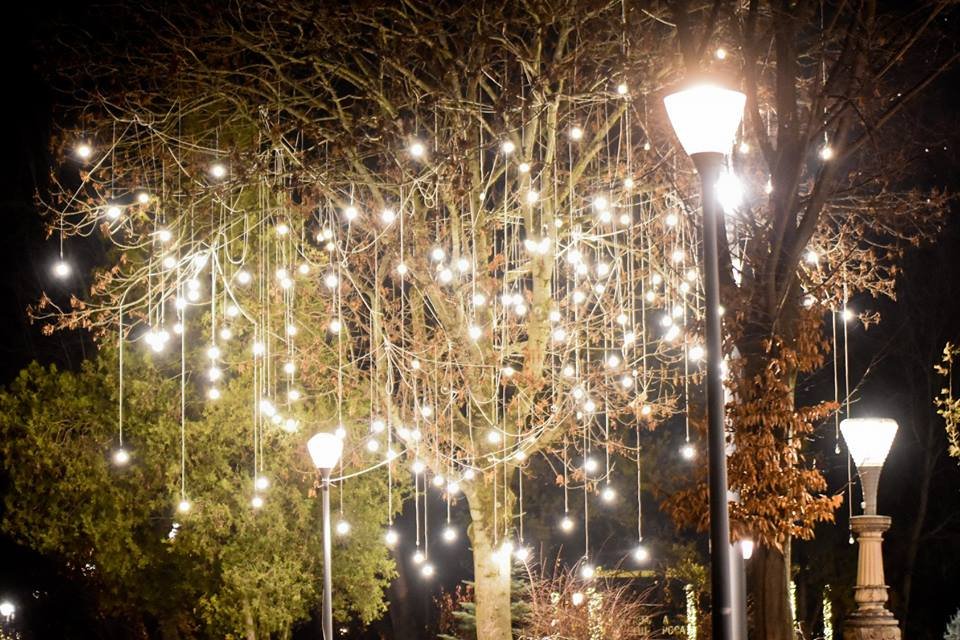 Lights On se mută în cartierele Clujului. Iluminat festiv pentru un parc din Mănăștur