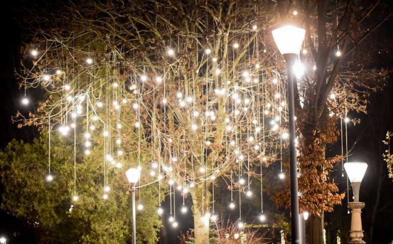 Lights On se mută în cartierele Clujului. Iluminat festiv pentru un parc din Mănăștur