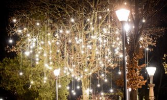 Lights On se mută în cartierele Clujului. Iluminat festiv pentru un parc din Mănăștur