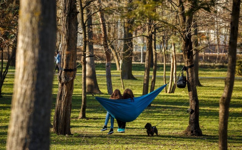 Start pentru parcul Între Lacuri