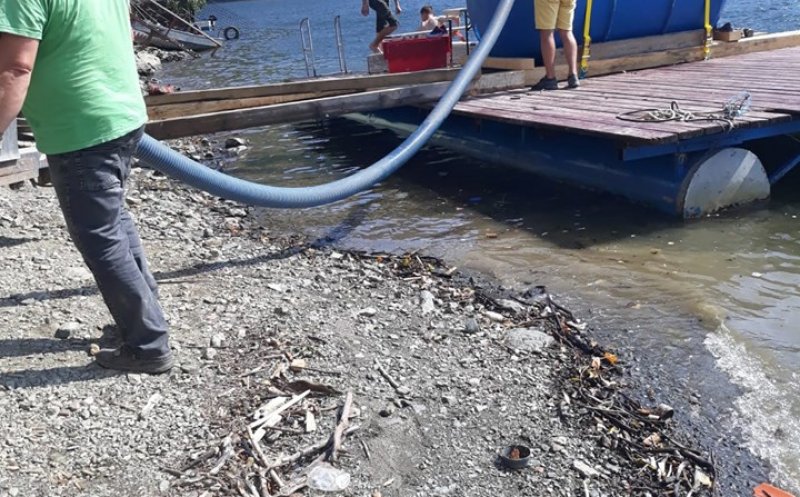 Fosă septică golită în "lacul şmecherilor"? PSD Cluj cere socoteală miniștrilor Transporturilor, Mediului, Apelor și Pădurilor