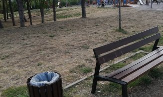 Se usucă arborii și iarba din Baza Sportivă Gheorgheni. "Alo, primăria, ne aude cineva?"