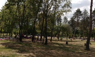 Se usucă arborii și iarba din Baza Sportivă Gheorgheni. "Alo, primăria, ne aude cineva?"