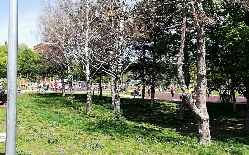 Se usucă arborii și iarba din Baza Sportivă Gheorgheni. "Alo, primăria, ne aude cineva?"