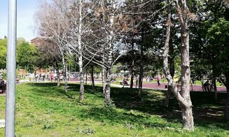 Se usucă arborii și iarba din Baza Sportivă Gheorgheni. "Alo, primăria, ne aude cineva?"