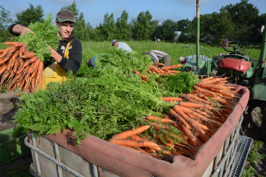 "Asistăm la un schimb de generații în agricultura Transilvaniei"