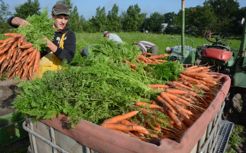 "Asistăm la un schimb de generații în agricultura Transilvaniei"
