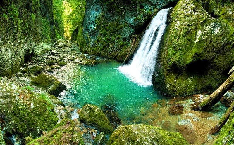 Cascada sălbatică din Apuseni, mai puțin cunoscută în România, un colț de rai pentru cei care o vizitează