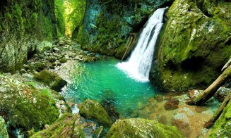Cascada sălbatică din Apuseni, mai puțin cunoscută în România, un colț de rai pentru cei care o vizitează