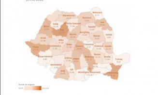 Microîntreprinderile Clujului au angajat 50.000 de oameni. Criză de salariați la firmele mici