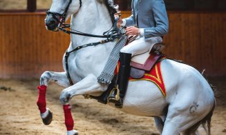 Dracula Horse Festival: Turnir medieval, spectacole ecvestre deosebite, concerte în locații inedite  și activități în natură