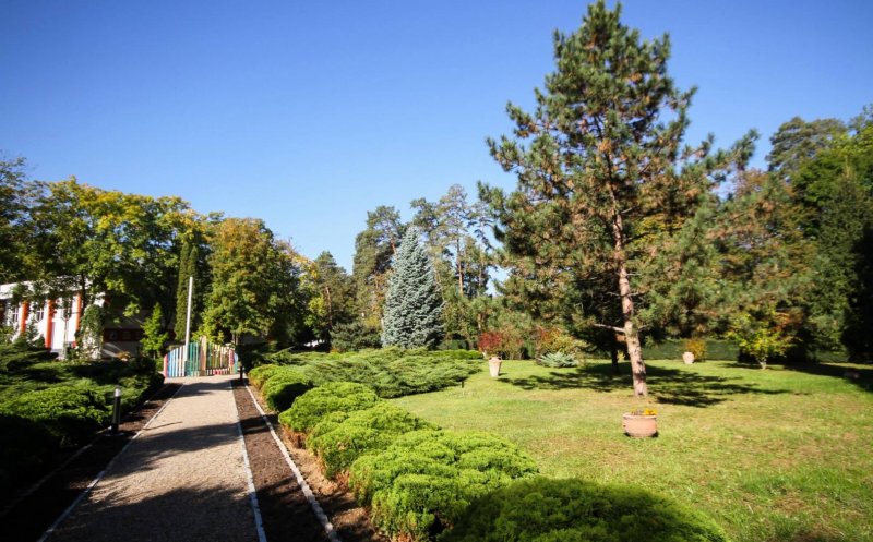 Clujenii vor acces liber în Parcul "Babeș"
