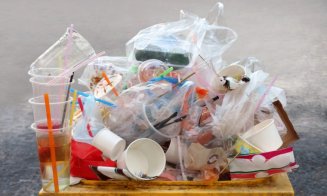 Primăria Cluj, exemplu pentru festivaluri: Fără plastic la Zilele Clujului!