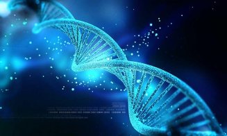 Marile companii iau în calcul Stocarea datelor computerizate în material genetic ADN
