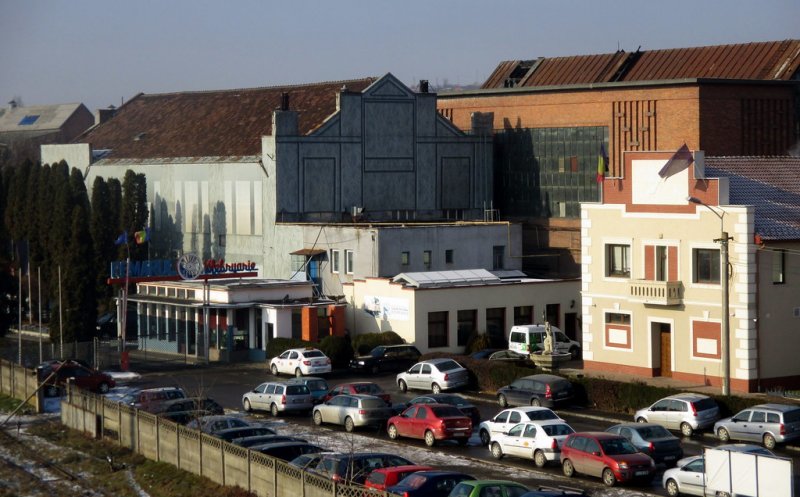 Acționarii Remarul vin cu bani de acasă ca să țină uzina pe linia de plutire