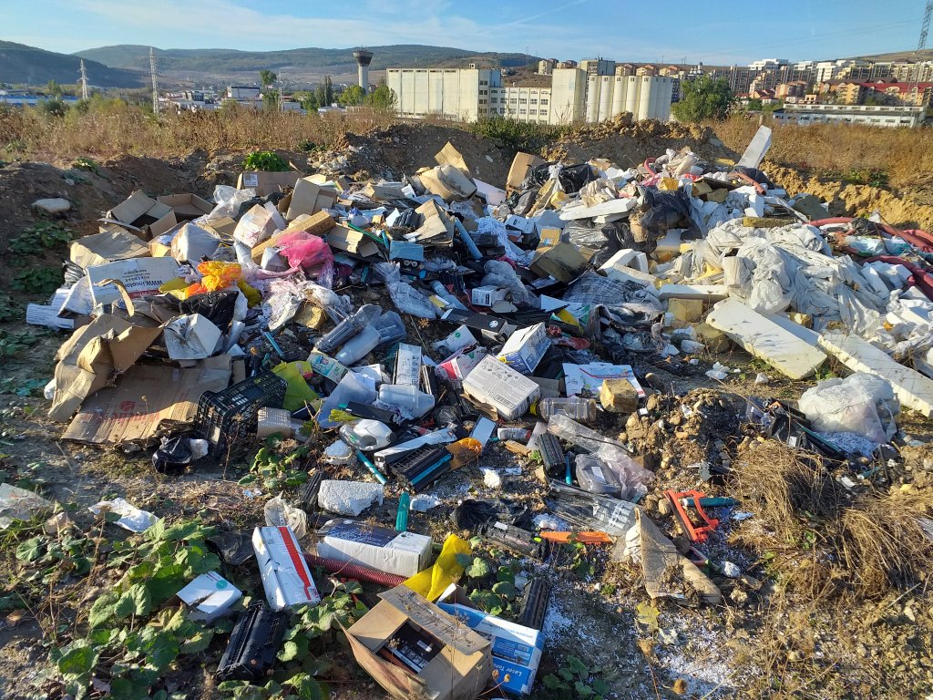 Amendă usturătoare pentru un clujean care a confundat pădurea cu groapa de gunoi