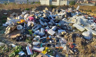 Amendă usturătoare pentru un clujean care a confundat pădurea cu groapa de gunoi
