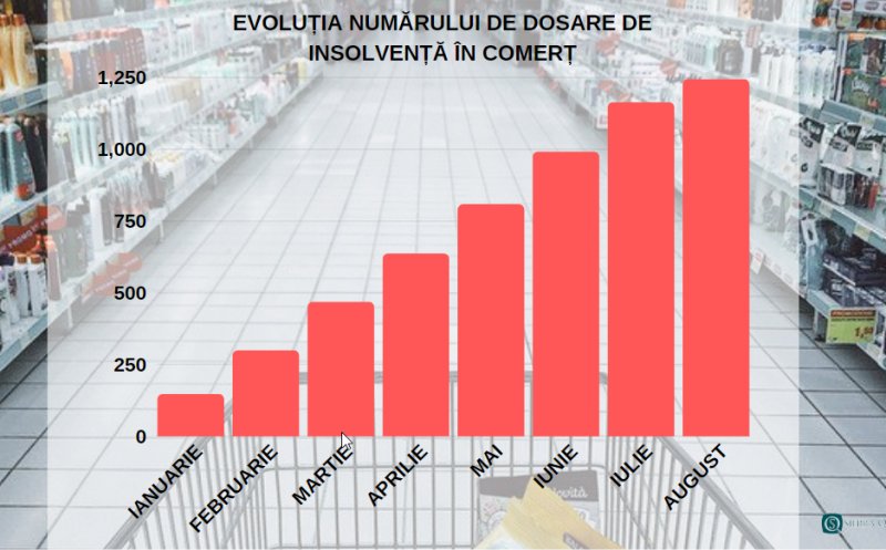 Patronii din Cluj ajung mai greu în faliment