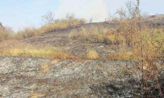 incendiu vegetatie