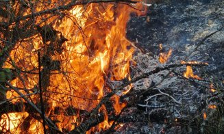 incendiu vegetatie
