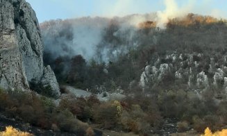 Dezastru în Apuseni. Un incendiu puternic mistuie zone întinse de pădure