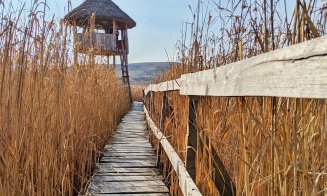 TOP 5 peisaje desprinse din poveste, care sunt defapt locuri din Cluj