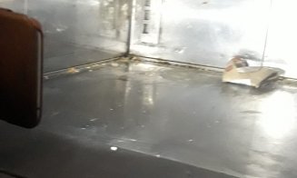 Nereguli de igienă la o cofetărie Pralina din Cluj. Unitatea este închisă