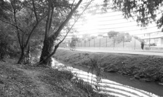 Cum se transformă Canalului Morii. Grădinărit comunitar, loc de joacă cu apa, pod care leagă Plopilor de Parcul Rozelor