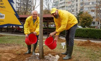Plantare de copaci în Parcul Primăverii