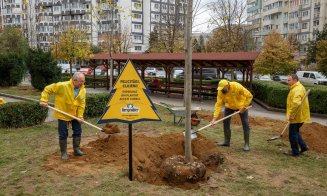 Plantare de copaci și în Parcul Primăverii