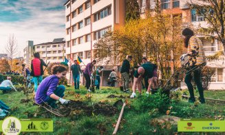 10KBrazii! Studium Green și Asociația Beard Brothers plantează 10.000 de arbori în Cluj-Napoca