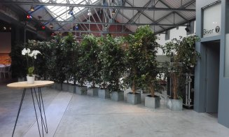Lecții de la Bruxelles pentru zona Clujului: cum devii regiune inteligentă