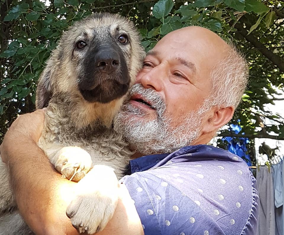 Situaţie limită: 800 de câini salvați de pe străzile din Cluj riscă să se întoarcă înapoi