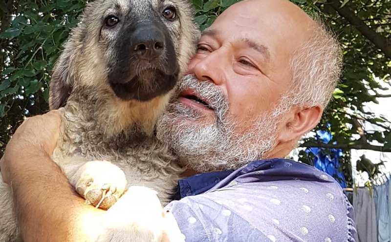 Situaţie limită: 800 de câini salvați de pe străzile din Cluj riscă să se întoarcă înapoi