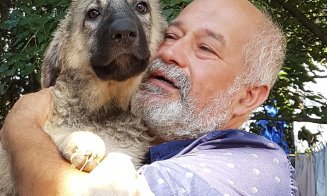 Situaţie limită: 800 de câini salvați de pe străzile din Cluj riscă să se întoarcă înapoi