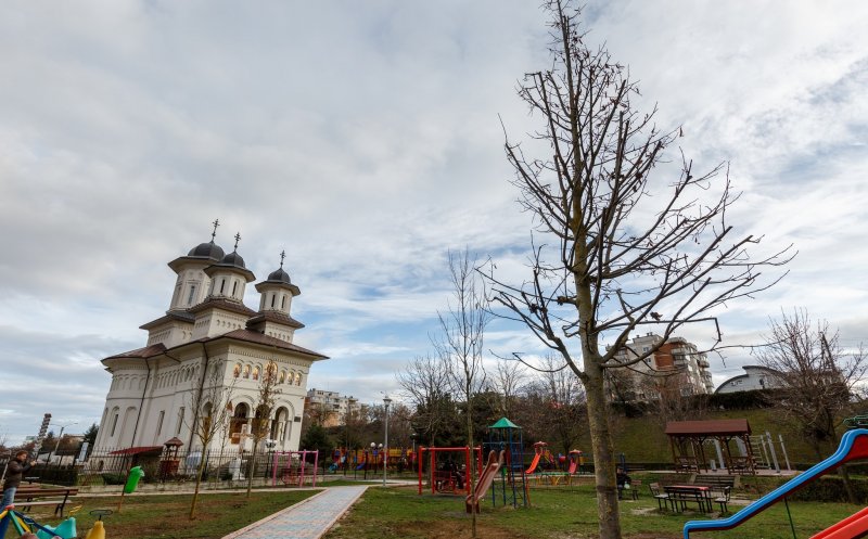 Plantări de copaci în zona Expo Transilvania