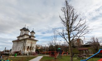 Plantări de copaci în zona Expo Transilvania