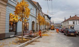 Autobuzele încă nu pot circula pe Ferdinand, deși a trecut 1 decembrie. Banda va fi folosită temporar de pietoni