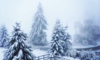 A venit iarna! Top 10 peisaje îngheţate din Cluj