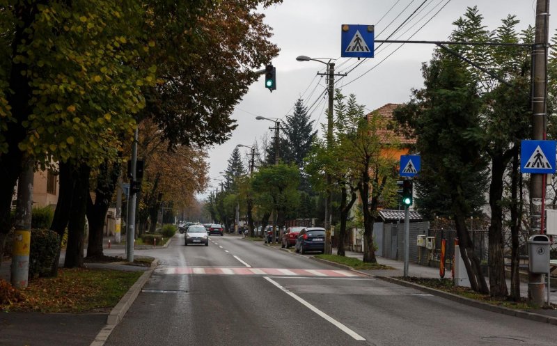 Adolescentă spulberată pe trecerea de pietoni de o maşină condusă de un cetăţean german