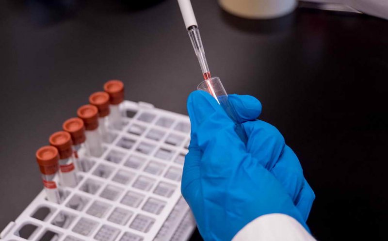 Oamenii de ştiinţă chinezi au creat primul hibrid între maimuţă şi porc. Cum arată