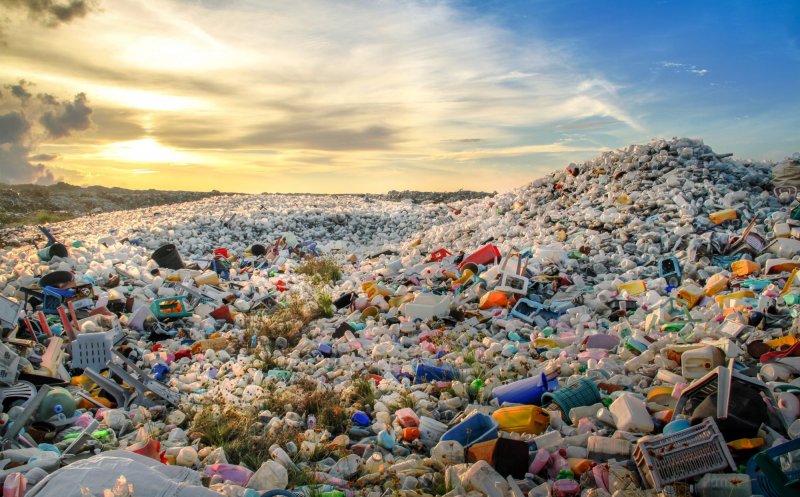 Îngrijorător: înghițim 5 grame de plastic pe săptămână! Îl respirăm, îl bem sau îl mâncăm